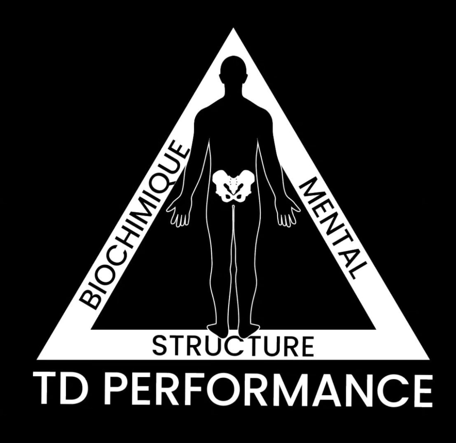 Logo TD Performance